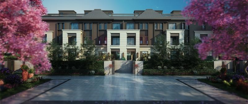 1596606756697789.jpg 1.jpg